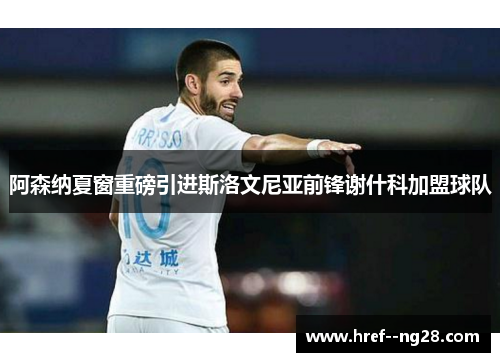 阿森纳夏窗重磅引进斯洛文尼亚前锋谢什科加盟球队